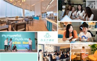 堅持與消費者共頻 白玉蘭品牌第五十家酒店華麗綻放的運營之道